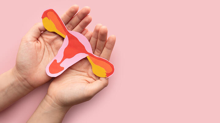 Red light fertility treatments help with both female and male infertility Woman's hands holding colorful uterus shape made from paper on pink background.