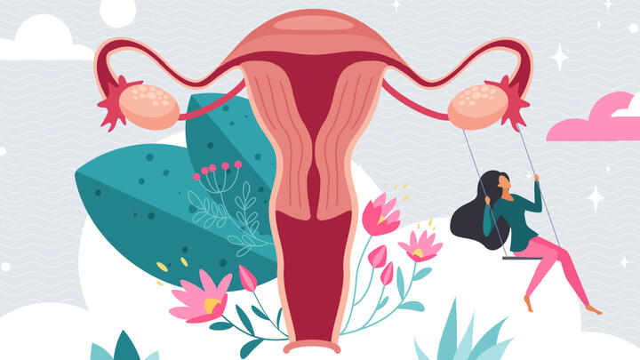 Female reproductive health, hormones and mood swings Womb organs in anatomy diagram with flowers cartoon vector illustration